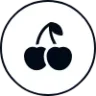 icône de fruits